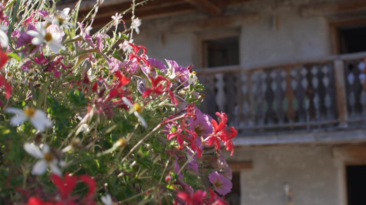 Violettes Apartment